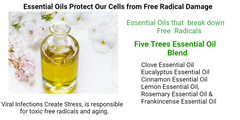 Did You Know, Viral Infections Cause Aging?