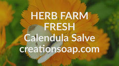 Salve de caléndula y consuelda - Súper ungüento, ungüento de hierbas de Creation Farm