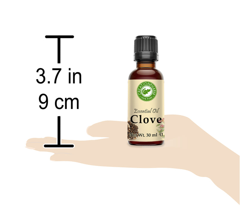 Clove Bud Essential Oil Creation Pharm - Aceite esencial de clavo de olor - Creation Pharm