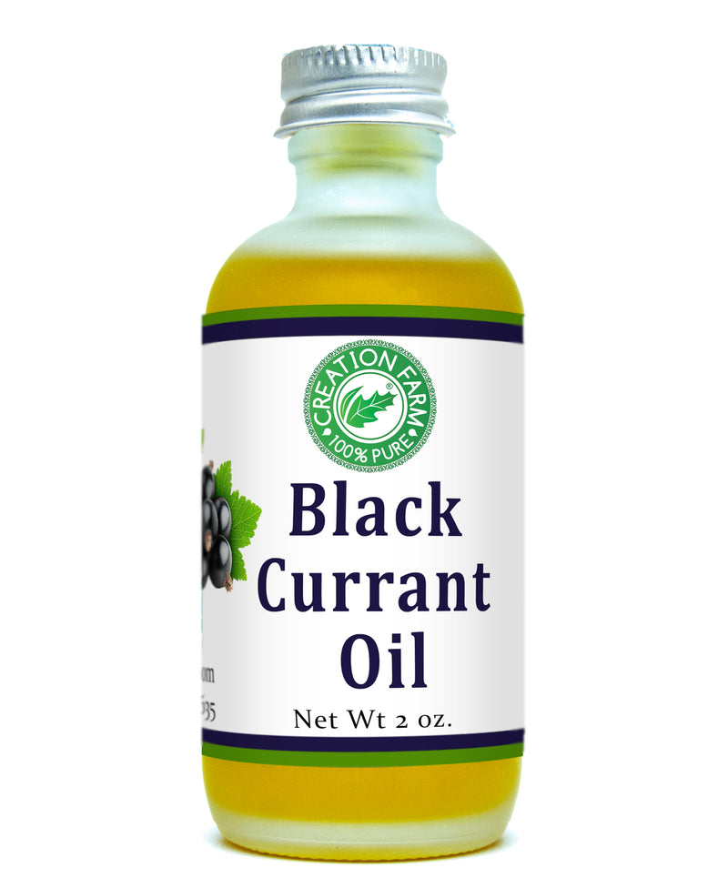 Black Currant Oil 2 Oz Frosted Bottle - Creation Pharm
