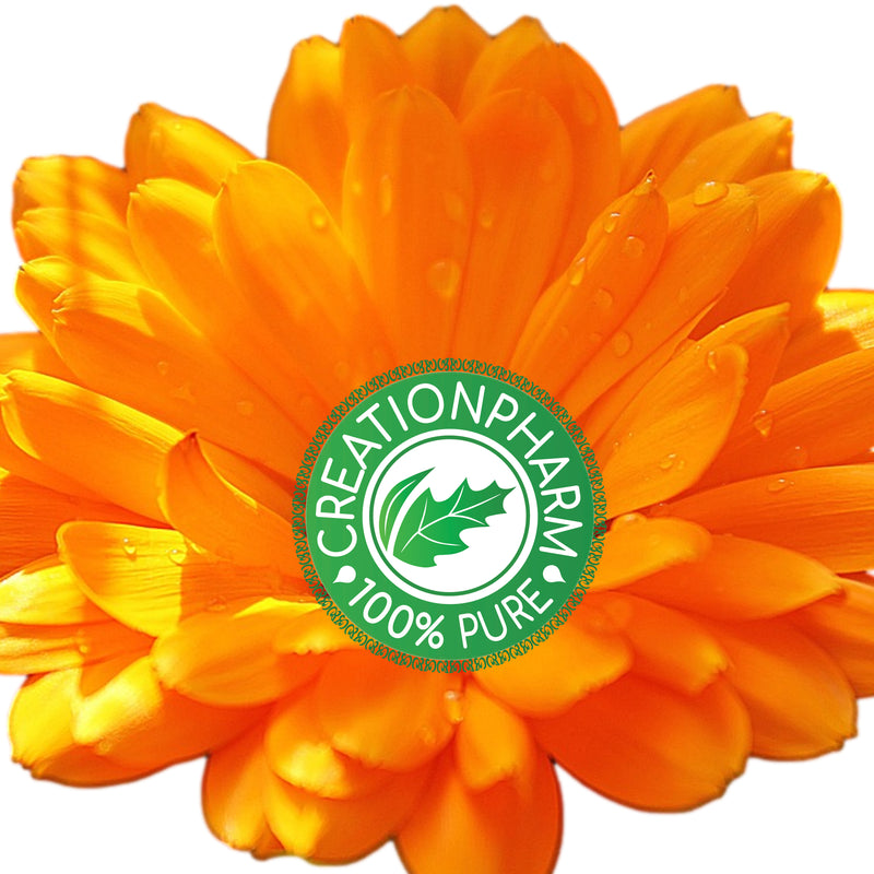 Calendula-Comfrey Salve - Super Salve, Herbal Salve by Creation Farm.